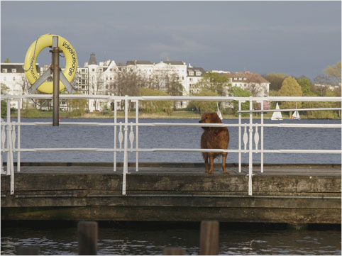 bodo’s bootssteg 1